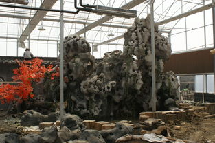 假樹工程設(shè)計,江蘇假山假樹工程哪家名聲好